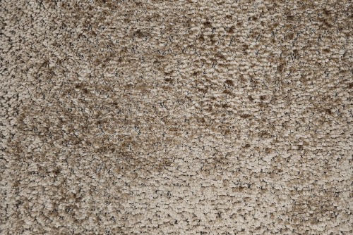 Outer: Jace Biscuit ( Band D )