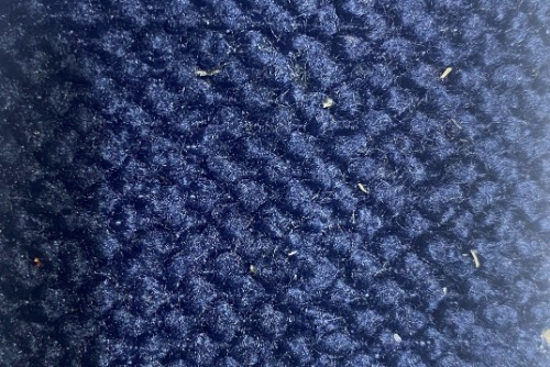 Scatter/Pillow: Greenock Navy ( Band C )