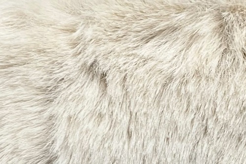 Scatter/Pillow: Bear Beige ( Band Superior )