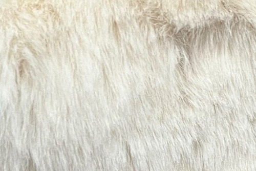 Scatter/Pillow: Bear Ivory ( Band Superior )