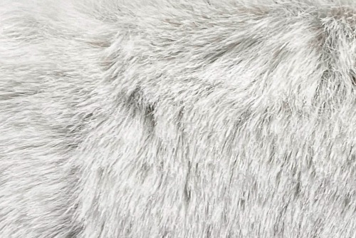 Scatter/Pillow: Bear Silver ( Band Superior )