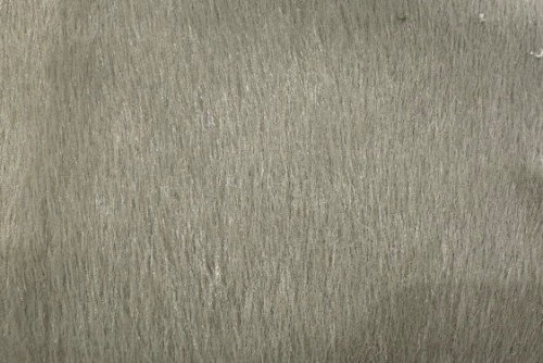 Scatter/Pillow: Lynx Khaki ( Band E )