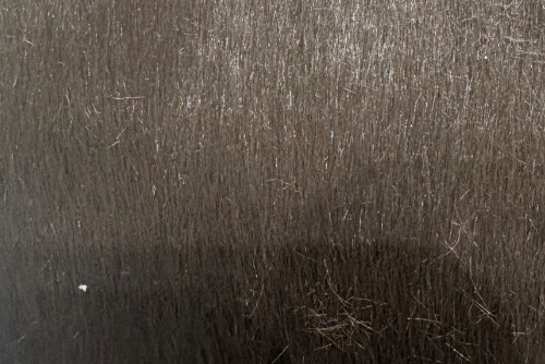 Scatter/Pillow: Lynx Cocoa ( Band E )