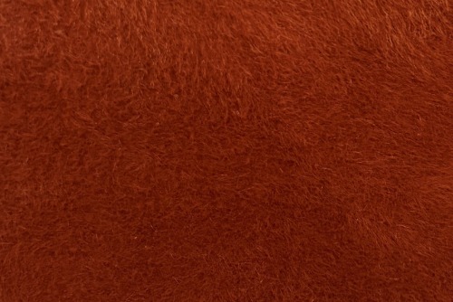 Scatter/Pillow: Lynx Burnt Orange ( Band E )